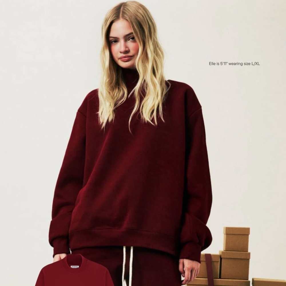 NWT Parke Holiday collection Classic Turtleneck in Maroon small medium